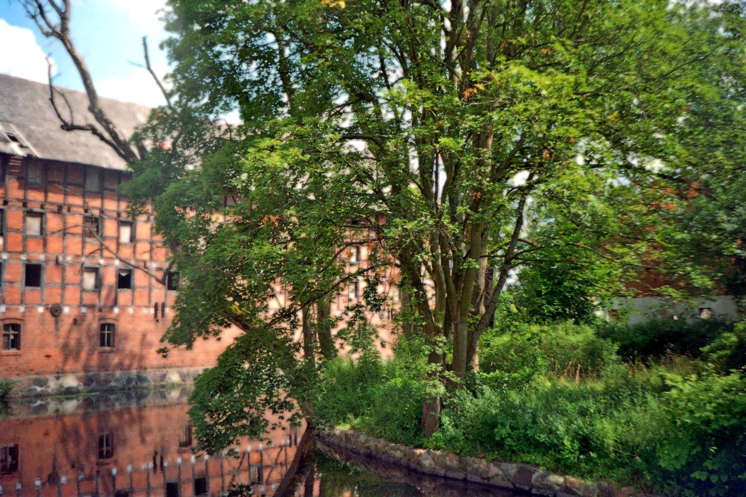 ../Images/Image001_24 (19).jpg